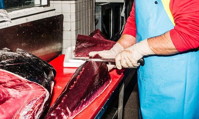 The Sydney Fish Market tours