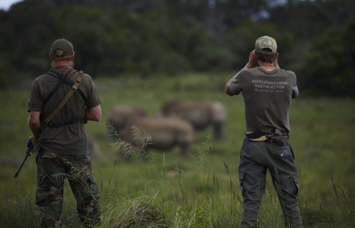 Australian wildlife conservation programs