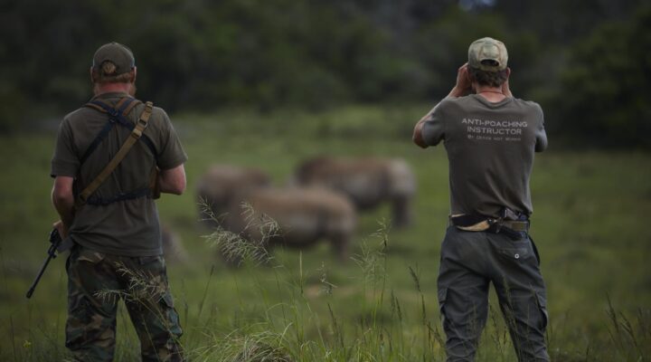 Australian wildlife conservation programs