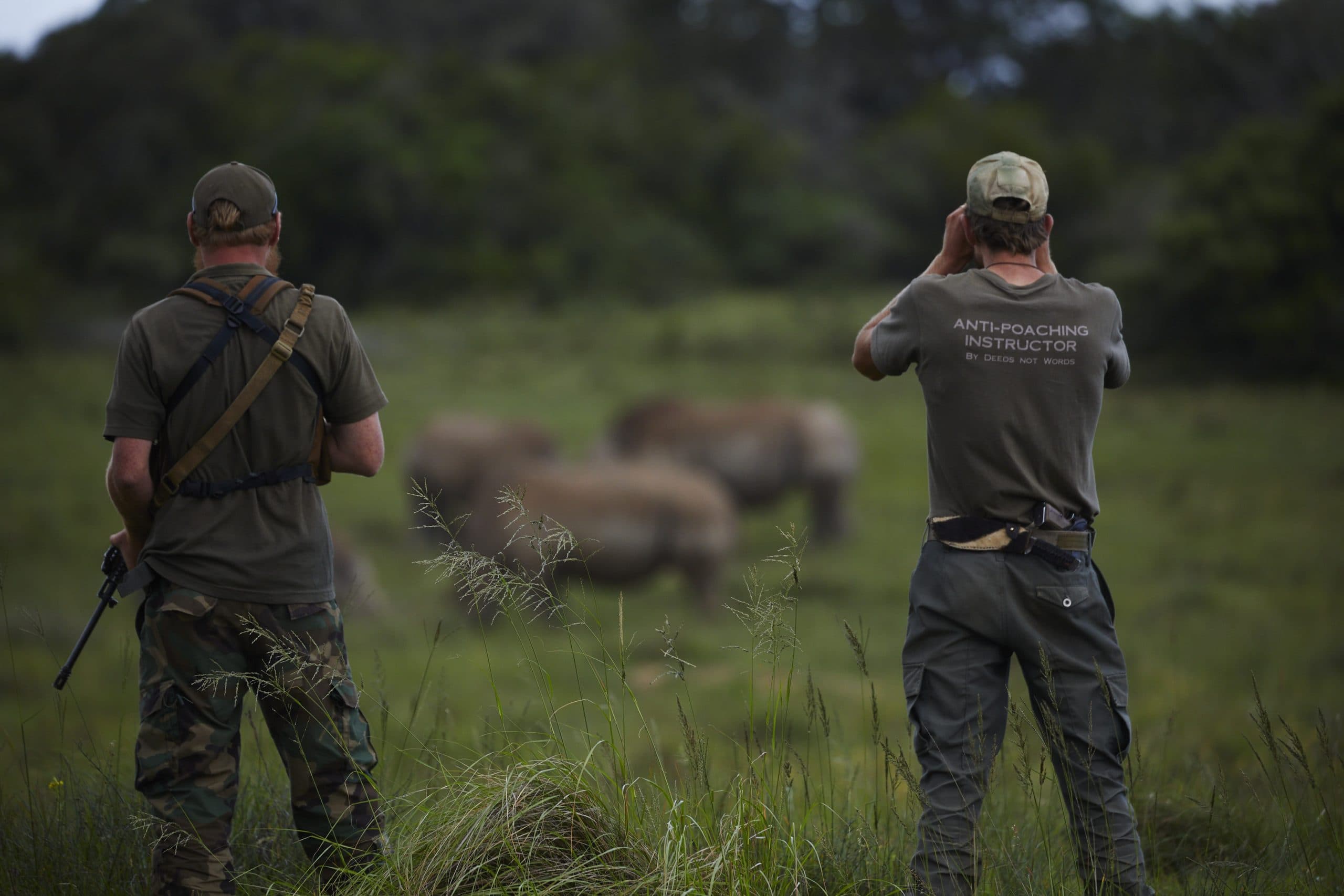 Australian wildlife conservation programs