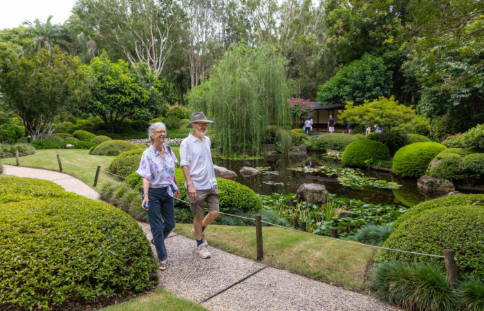 Mount Coot-tha Botanic Gardens in Brisbane