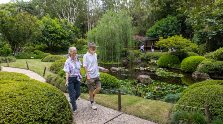 Mount Coot-tha Botanic Gardens in Brisbane