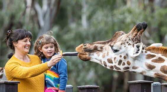Dubbo’s Taronga Western Plains Zoo