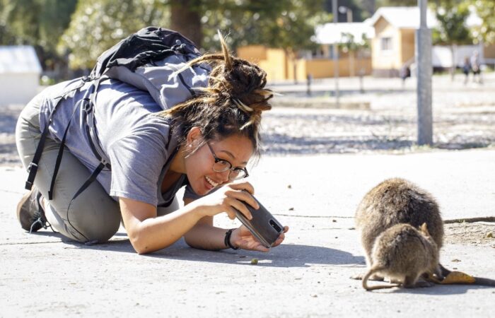 Rottnest Island’s quokkas