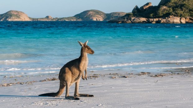 Australian islands for wildlife