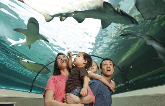 Family-friendly cities in Australia