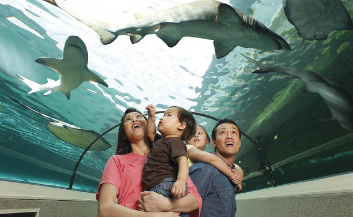 Family-friendly cities in Australia