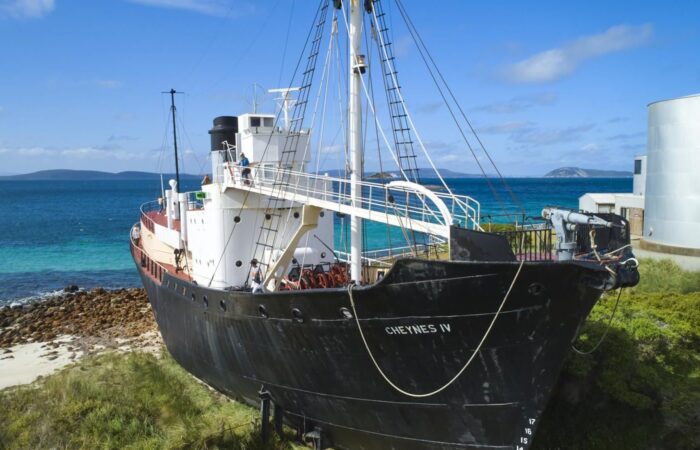 Albany’s Historic Whaling Station tours