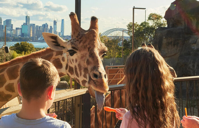 Sydney’s Taronga Zoo tours