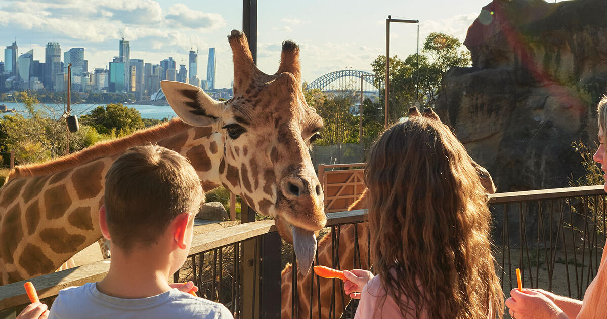 Sydney’s Taronga Zoo tours