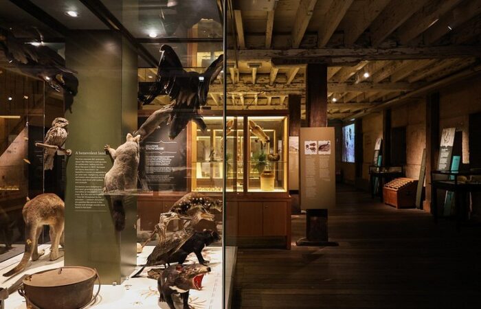 Tasmanian Museum and Art Gallery