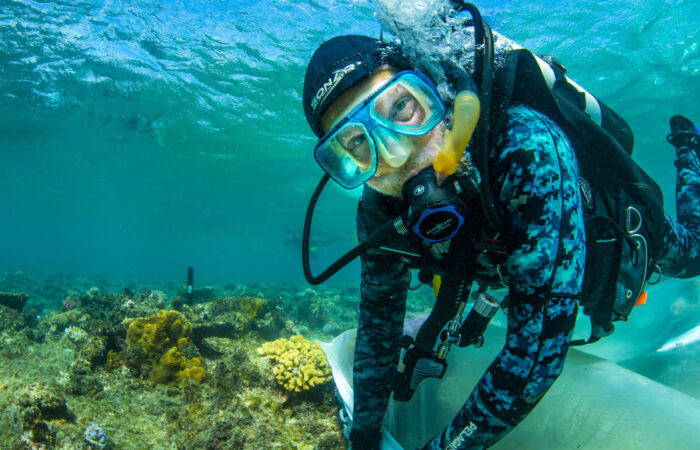 Australian coral restoration projects