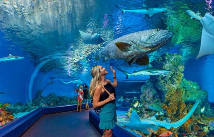 Best zoos and aquariums in Australia