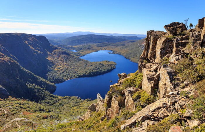 Wildlife in Cradle Mountain-Lake St Clair National Park