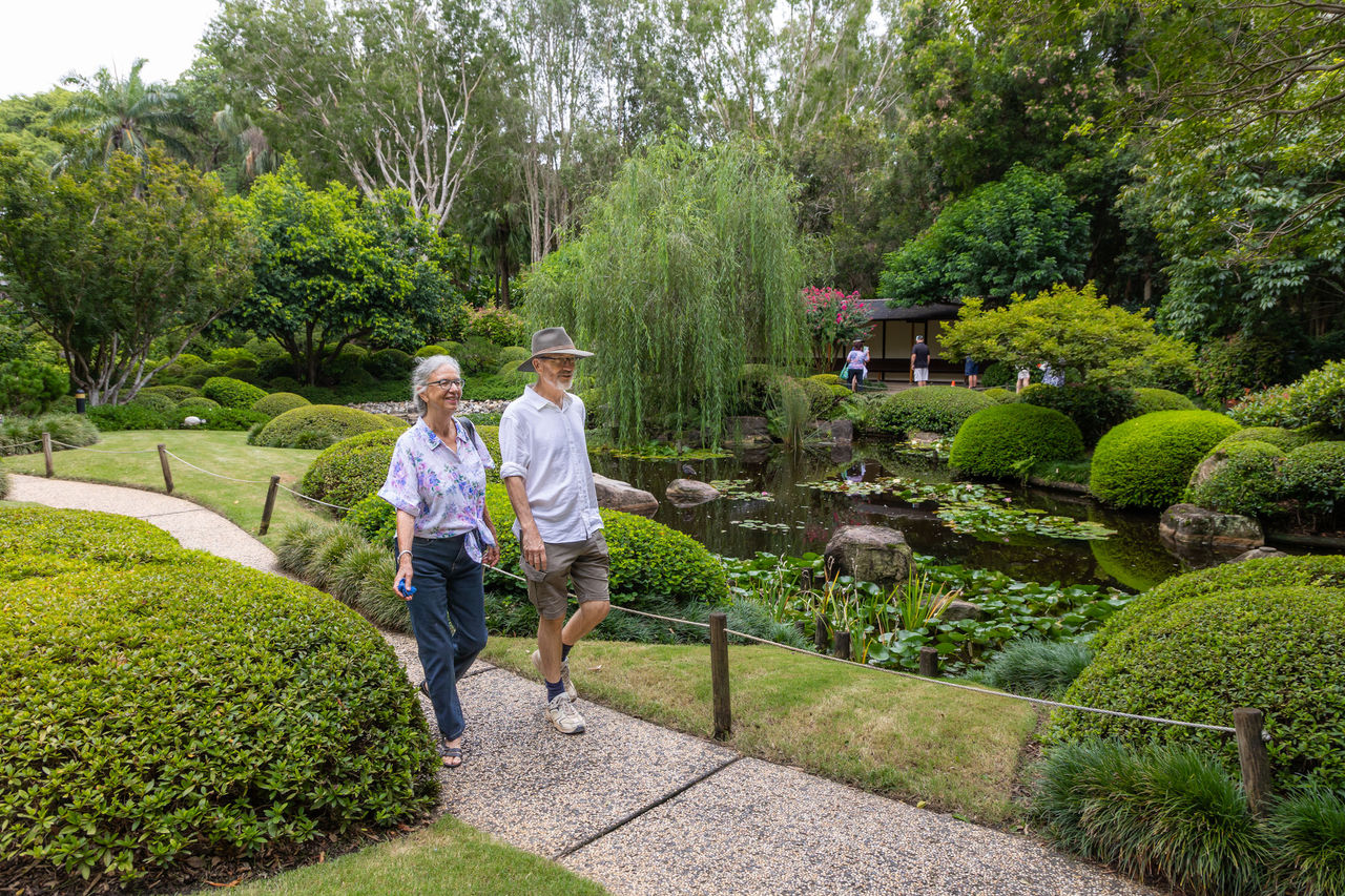 Mount Coot-tha Botanic Gardens in Brisbane